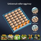 Small Household Fully Automatic Incubator