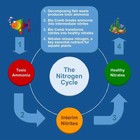 Half Off Ponds Fluidized Media Mbbr Bio Filter  1 Cubic Foot Hbf-09-1cf