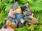 Rough Cheetah Agate   Jasper Stones  Lot Of 5 Pieces  Lapidary  2 Lbs 8 Oz