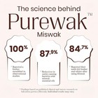 Miswak Sticks 12 Pack Natural Tooth Cleaning Sticks W Holder 3 Month Supply