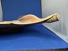 Large Natural Brown And Cream Conch Shell Decorative Collectible