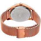 Akribos Xxiv Ak959rggn Quartz Sunray Dial Mesh Bracelet Stainless Steel Mens Wat