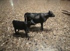 1 64th Calves  20hd Black Angus