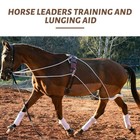 Shinylin Horse Training Equipment Leaders Training And Lunging Aid Adjustable