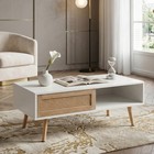 41 34  Rattan Coffee Table Low Storage Table With Solid Wood Legs  Sliding Door