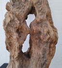 Driftwood Natural Sculpture Piece Woodworking Decorative Diy