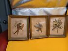 3 Vintage Miniature Bird Prints Original Wood Frames Audabon   5 75 X 4 75   