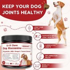Joint Relief Soft Chews For Dogs With Glucosamine  Chondroitin   Omega-3