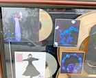 1oak Stevie Nicks Framed 2 Gold Lp Records 3 Cd Discs Photo Collage Lh