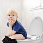 Potty Training Toilet Seat W toddler Seat 19  Elongated Toilet Seat For Toddlers