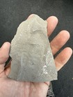 Sea Scorpion Eurypterid Head Fossil   Ridgemount Quarry Ontario   Silurian E5