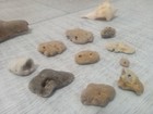 Hag Stone Lot Of 10 Stones Natural Ocean