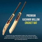 Bratla Beast Kashmir Willow Cricket Bat Adult