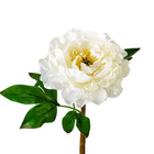 Artificial White With A Hint Of Pink Peony Stem - Real Touch