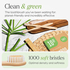 Bamboo Toothbrushes 10 Pack - Bpa Free Soft Bristles Toothbrushes  Eco-friendly 