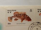 1981 - Hong Kong  native Fish  First Day Cover  fdc 