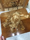 Ty Beanie Buddy Humphrey 1998 New With Tags