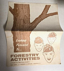 1958 Forestry Activities A Guide For Boy Scout Leaders Brochure Pamphlet