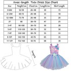 Toddler Girl Princess Dress Tulle Tutu Dress With Hairpin Birthday Party Costume