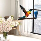 Parrot Perch Shower Stand Window Wall Suction Cup Natural Pepper Wood Perches