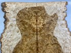 5a Electric Guitar Top Birds-eye Golden Camphor Wood Burl Set Luthier Supply