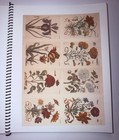Junk Journal Ephemera Embellishments Pages Scrapbooking Antique Vintage 20 pages