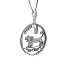 Pendant Lion Of Judah Israeli 5 Pound Coin Lira Sterling Silver Necklace   2 6cm