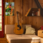 Blight Beer For The Farmers Sexy Girl Poster 16x24 Sexy Farm Girl Mancave Decor