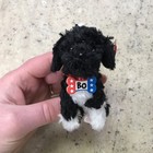 2009 Ty Beanie Babies Plush Bo The Portuguese Water Dog Red Backpack Clip 4 