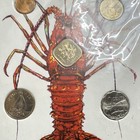Bahamas Mint Coin Set Marine Life Designs Multiple Denominations