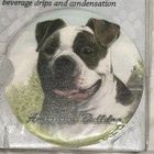 American Bulldog Bull Dog Car Coaster New E   S Pets Brand