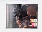 1969 Marlboro Country Cowboys Rounding Up Cattle Cigarettes Print Ad Life Feb 28