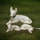 Vintage Porcelain Ceramic Dog Figurines Made In Japan