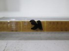 Bourns  Rmf 353 105  90805sl  Integrated Circuit  New  Lot Of 31
