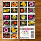 15 Booklets 2019 Cactus Flowers Usps Scott  5359b Mnh Booklet Of 20  300 Stamps 