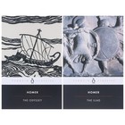 The Odyssey   The Iliad By Homer  penguin Classics  2 Books Set - Fic - Pb