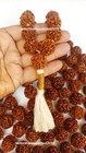 6 Mukhi Rudraksha Six Face Rudraksh Nepal 16-18 Mm Bead Knotted 109 Beads Mala