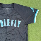Solefly X Jordan Baseball Jersey Gray Blue Trim Number 10 Mesh Mens Large