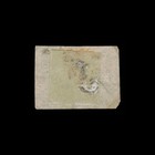 Brazil  Scott 37   12  Numeral  1854  Used  113615