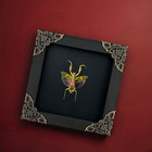 4 7  Black Framed Mantis Wall Hanging Decor Real Insect Taxidermy Beetle
