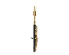 Wisemann Piccolo Dpl   300 C Key Ebonite Body Gold   plated Keys W  Case