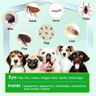 Flea And Tick Natural Prevention For Dogs Chewable  Flea   Tick 150 Chews Dog