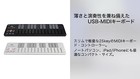 Korg Nanokey2 Nanokey2-bk 25-key Usb Midi Keyboard Key Black