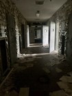 Real Restraint Log Ephemera antiquity From Insane Asylum