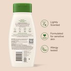 Gentle Aveeno Daily Body Wash 18 Oz For Dry Skin - Paraben   Dye Free Formula