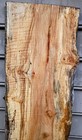 H32 Spalted Tiger Maple Burl With Ambrosia Live Edge Slab  Curly  63 1 8x15x2