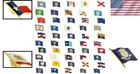 Exquisite Pack Of 50 Gold Plated State Flag Enamel Lapel Pins     Perfect Gift