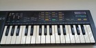 Vintage First Model 1985 Casio Sk-1 Portable 32 Key Sampling Keyboard