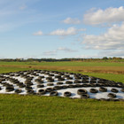 Farm Plastic Supply - 6 Mil String Reinforced Black white Silage Cover