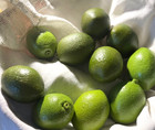 12 Piece Artificial Plastic Limes Fake faux Fruit Realistic Home Decor Plastic